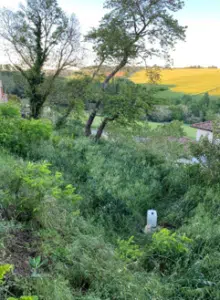Capture d'écran 2024-06-14 082750