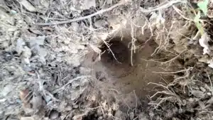 ETUDE DE SOL Assainissement Non Collectif à ROCBARON (83) VAR