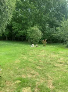 ETUDE DE SOL Assainissement Non Collectif à LANDORTHE (31) HAUTE GARONNE