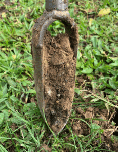 Sondage à la tarière