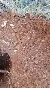 Dimensionnement de la filière à Varages (83) Var Sols sableux à graves et cailloutis, très perméables, avec un substratum rocheux présent à faible profondeur .