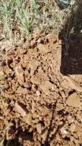 ETUDE DE SOL G2AVP dans le VAR TARIERE