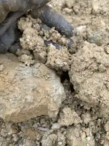 ETUDE DE SOL G1PGC en Haute-Garonne Reconnaissance géologique à la tarière dans un lotissement à Clermont-le-Fort en Haute-Garonne