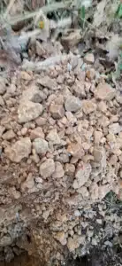 ETUDE DE SOL G1PGC SAINT CEZAIRE SUR SIAGNE Sondage à la tarière à St Cezaire dans le cadre d’une étude G1 PGC portant sur deux parcelles en restanques